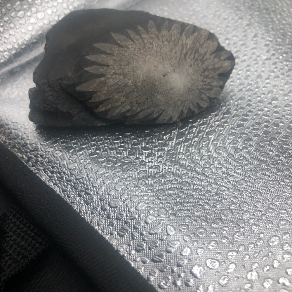 Pyrite Sun Crystal